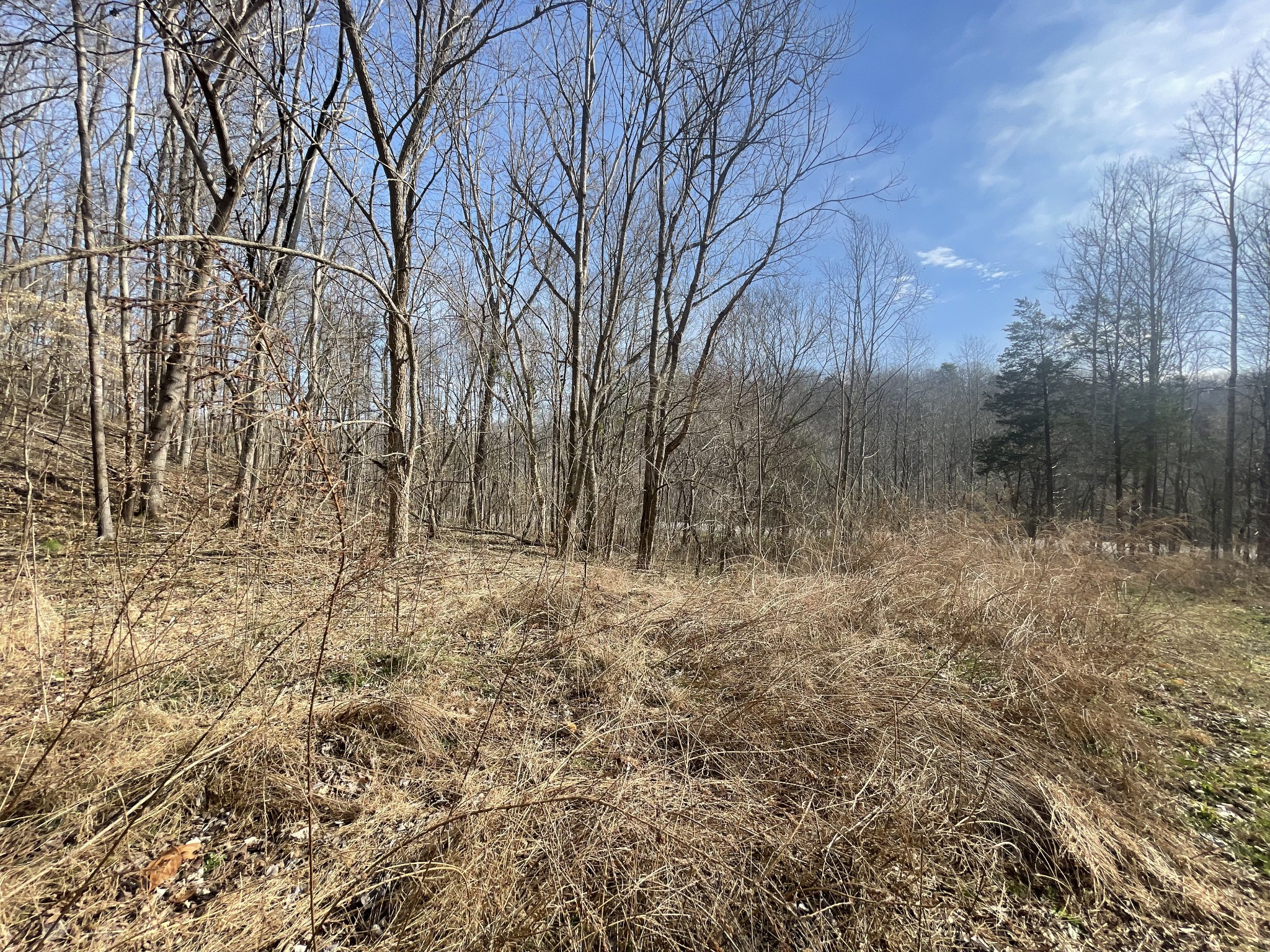 8001 Highway 50 Property Photo 31