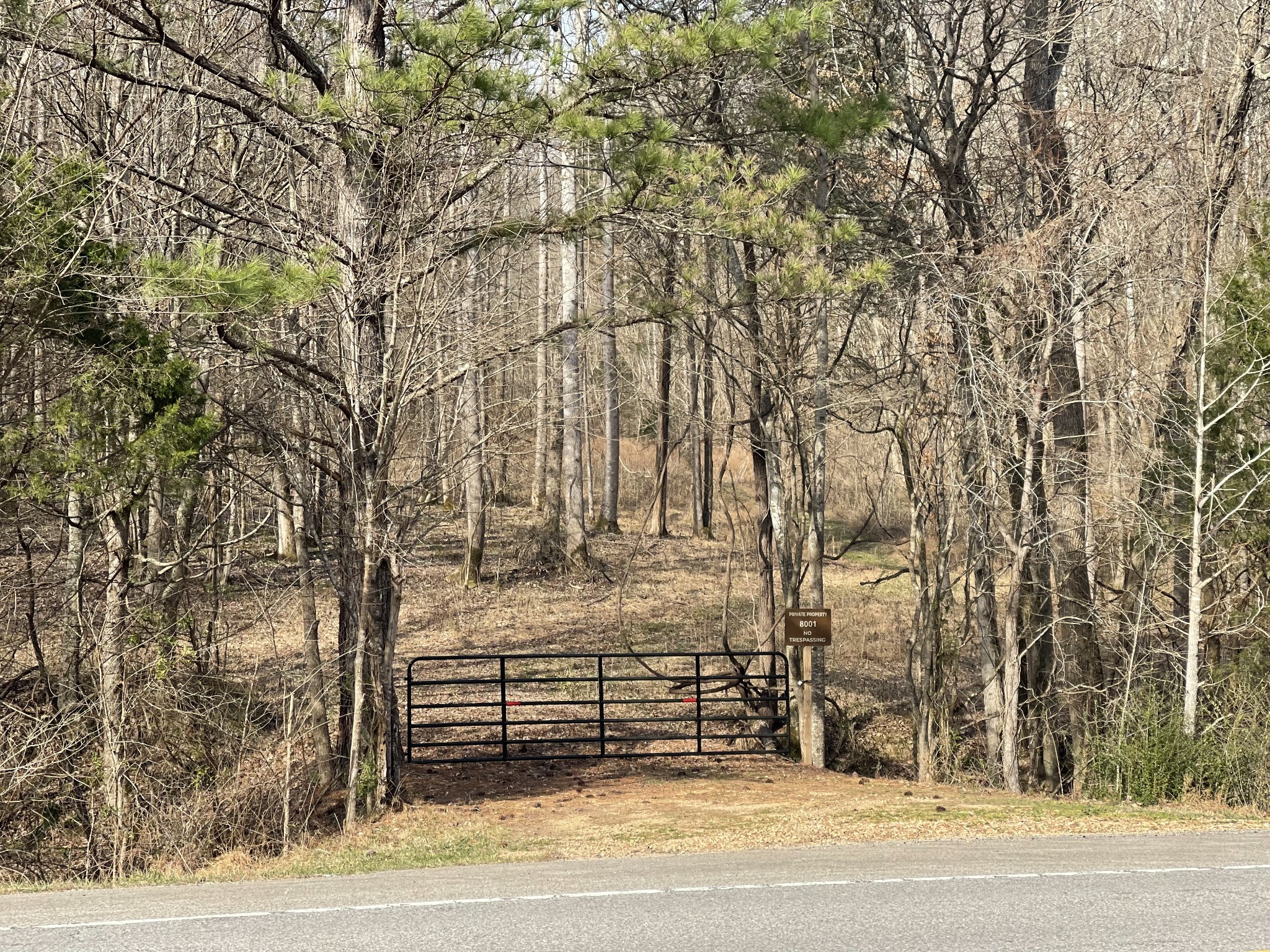 8001 Highway 50 Property Photo 34