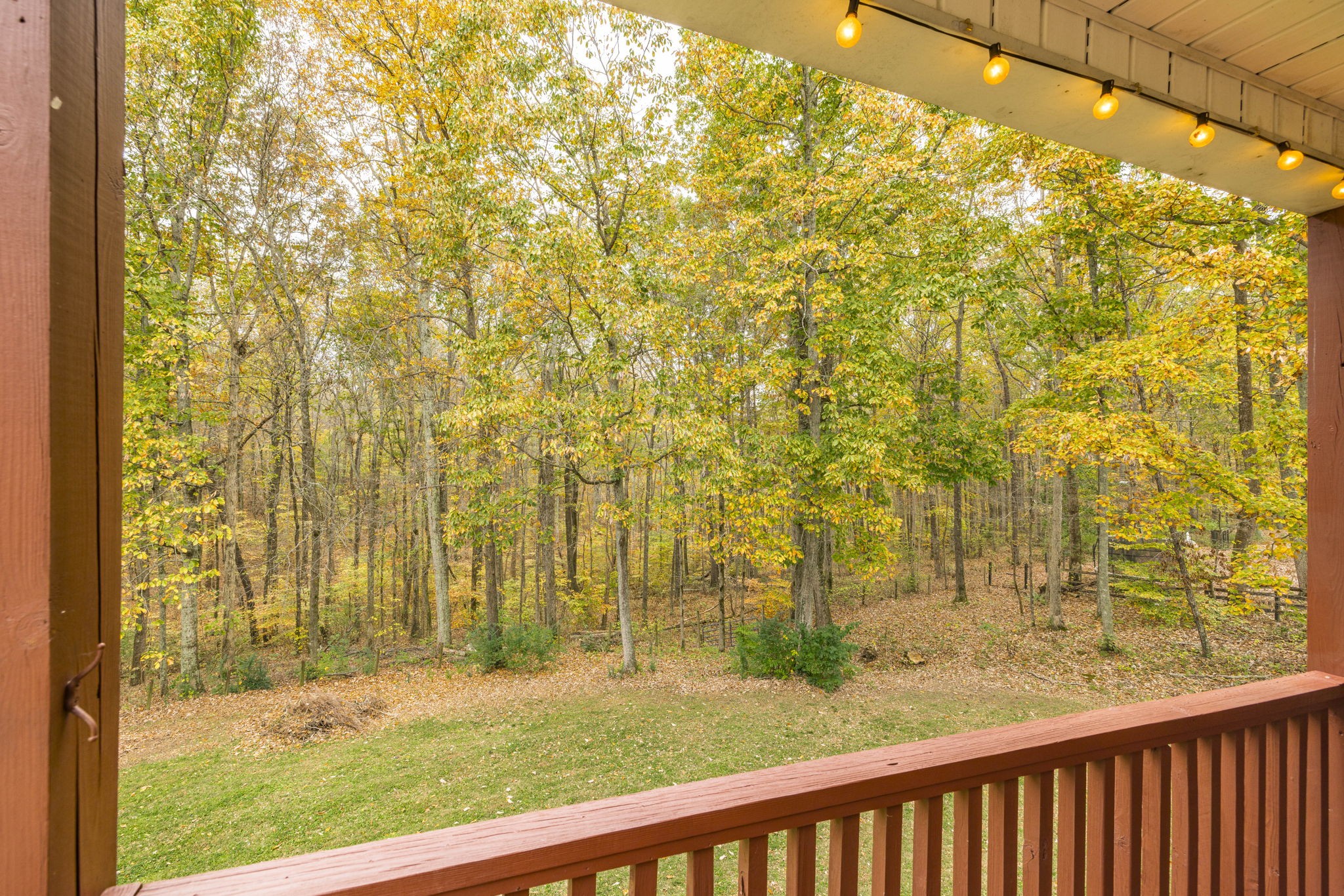 1358 Old Charlotte Pike Property Photo 79
