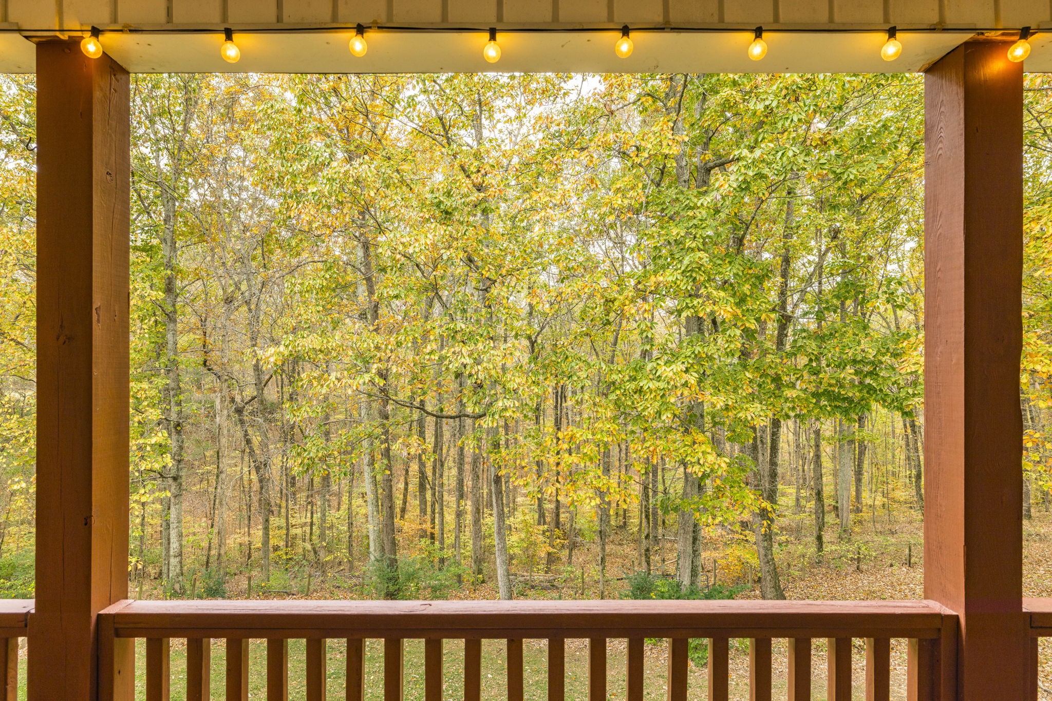 1358 Old Charlotte Pike Property Photo 80