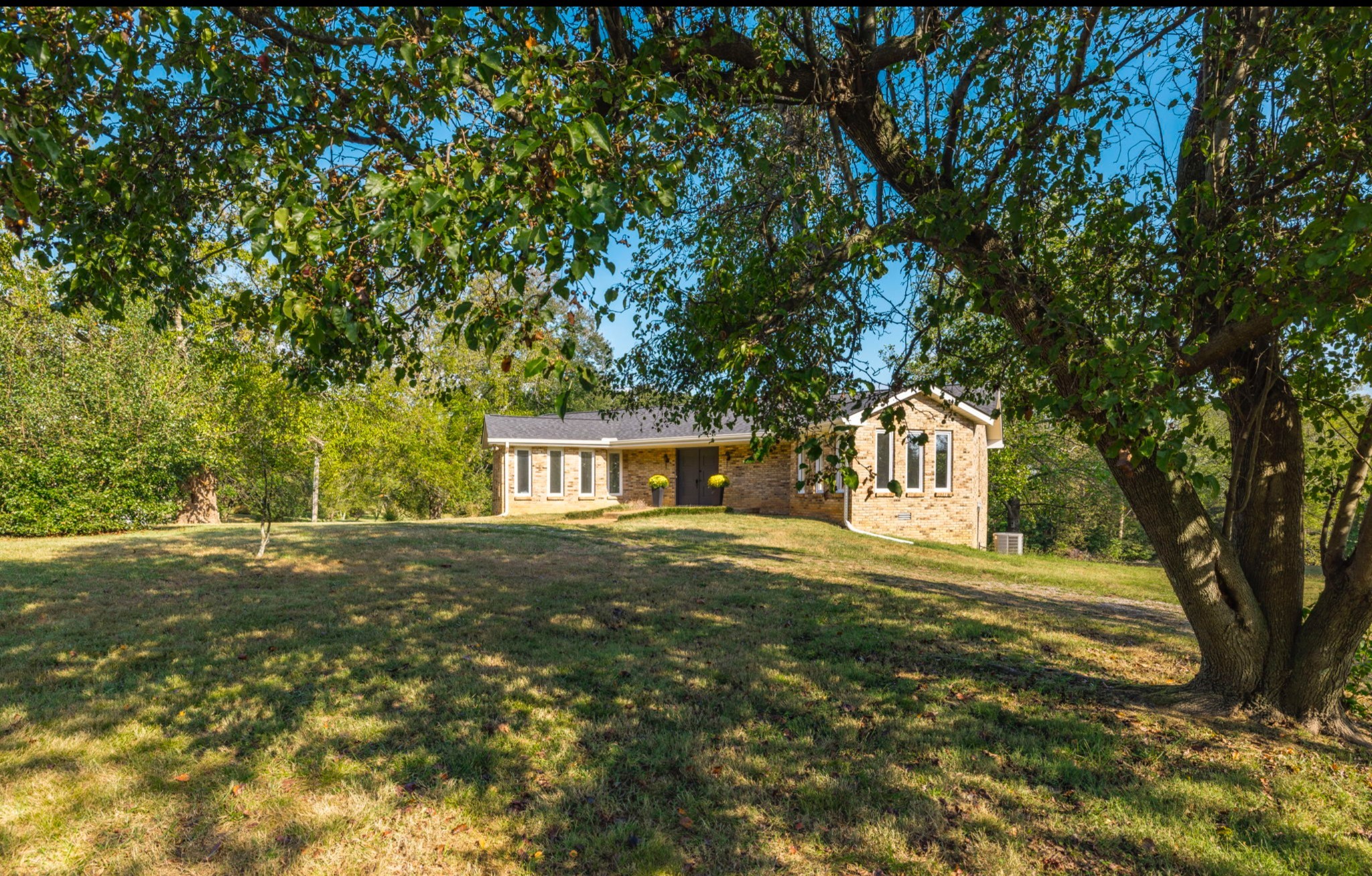 8674 Cedar Grove Rd Property Photo