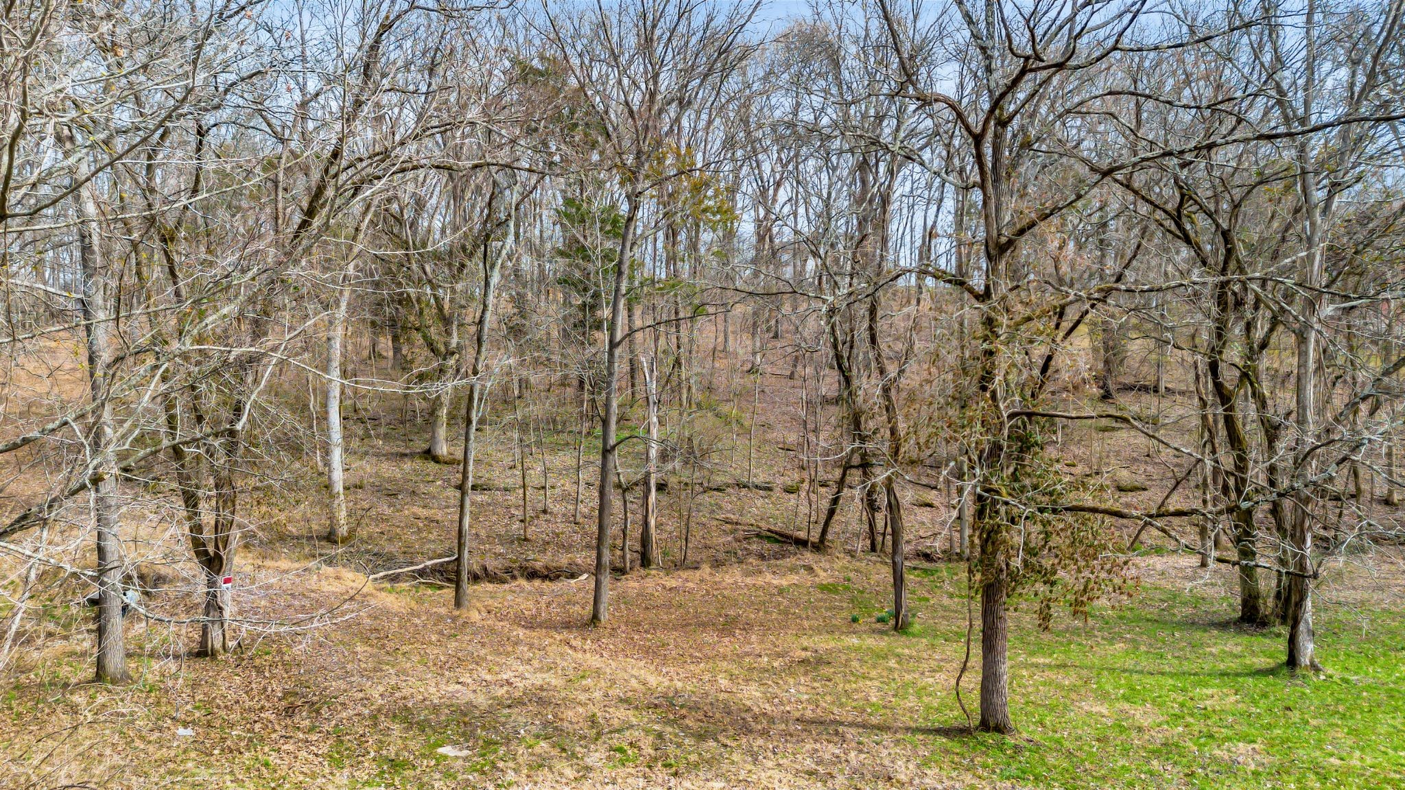 108 Lakeside Park Dr Property Photo 2