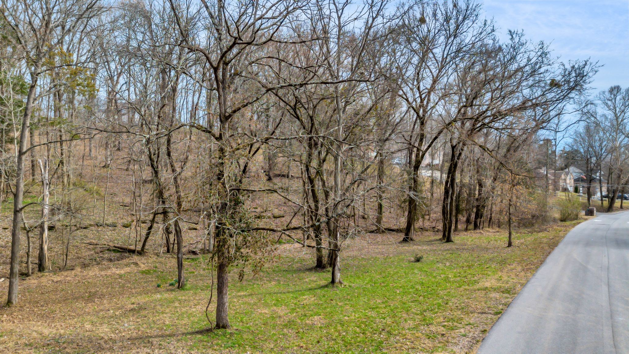 108 Lakeside Park Dr Property Photo 3
