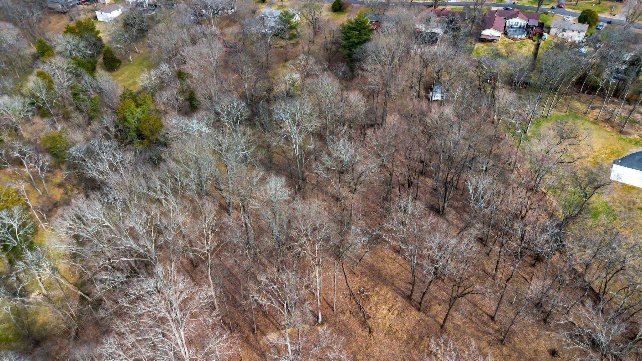 108 Lakeside Park Dr Property Photo 9