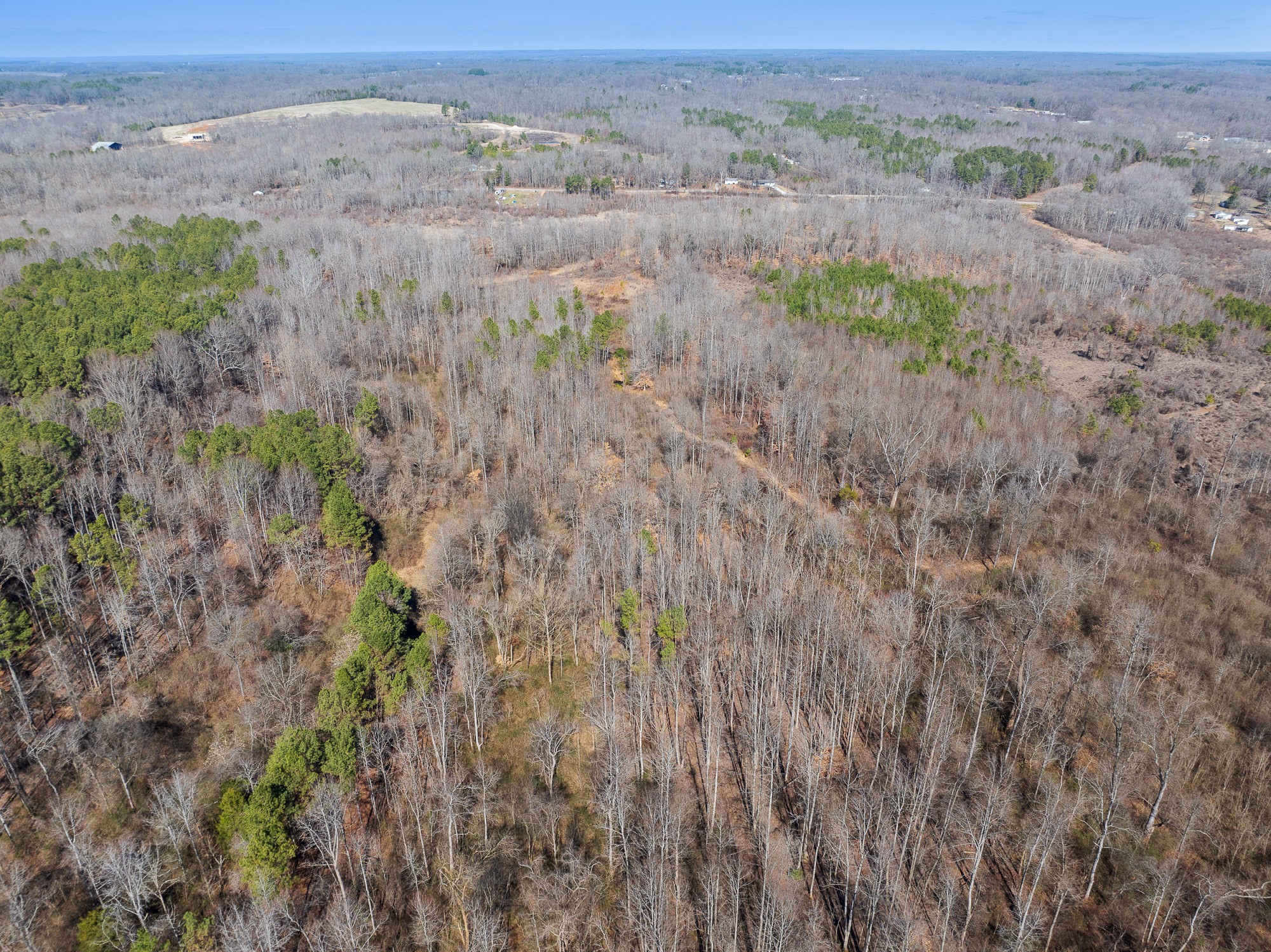 0 Highway 54 Property Photo