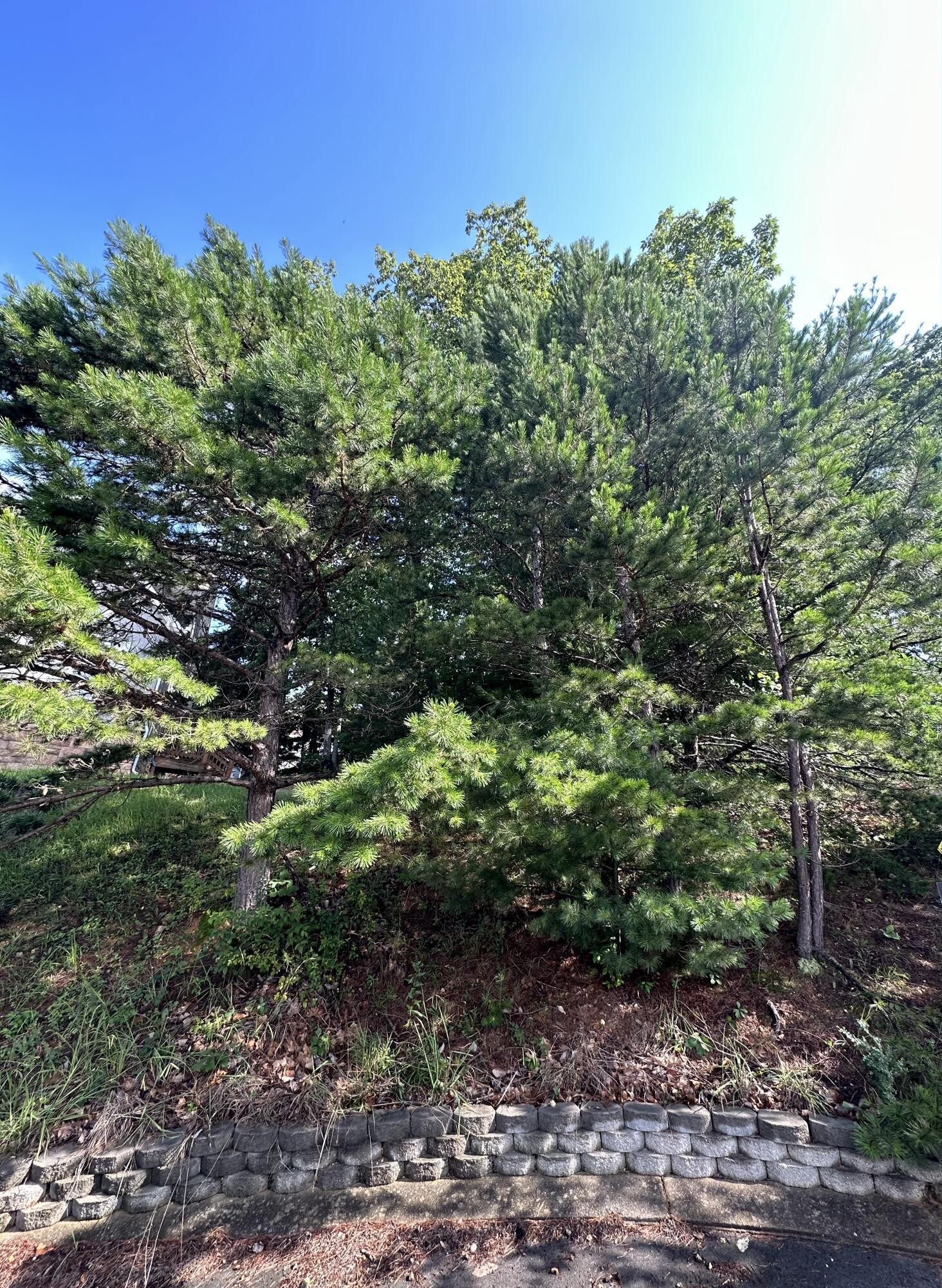 0 Ne Abbey Cove Property Photo 2