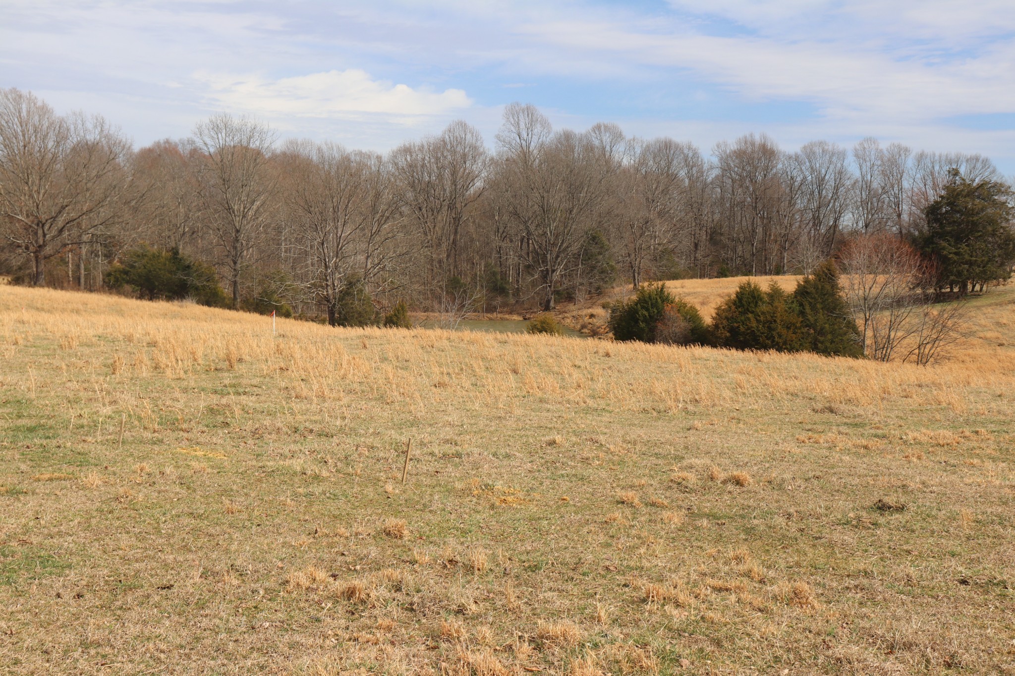 4 Rocky Mound Rd Property Photo 13