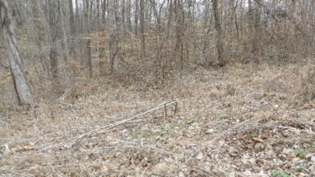 0 Beaver Lane Property Photo 1