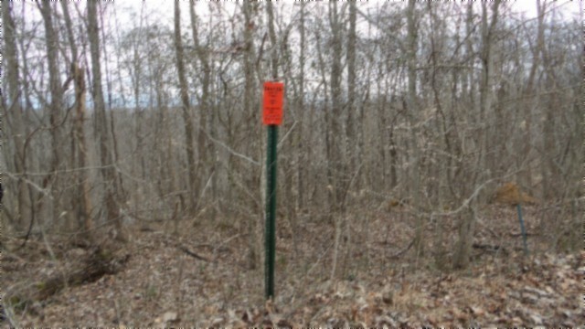 0 Beaver Lane Property Photo 3