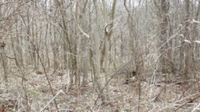 0 Beaver Lane Property Photo 6