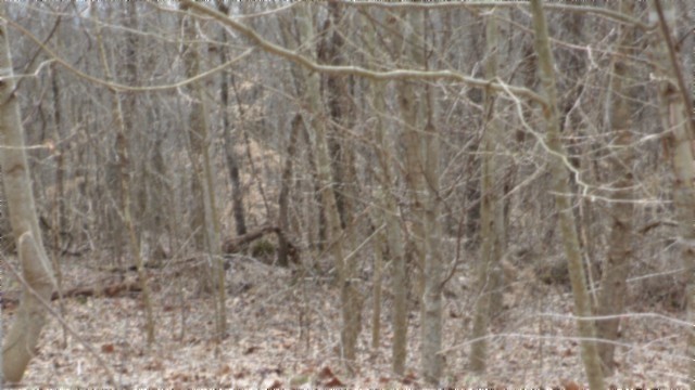 0 Beaver Lane Property Photo 7