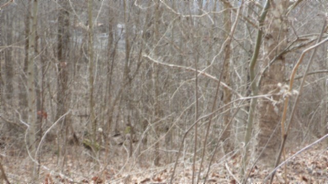 0 Beaver Lane Property Photo 8