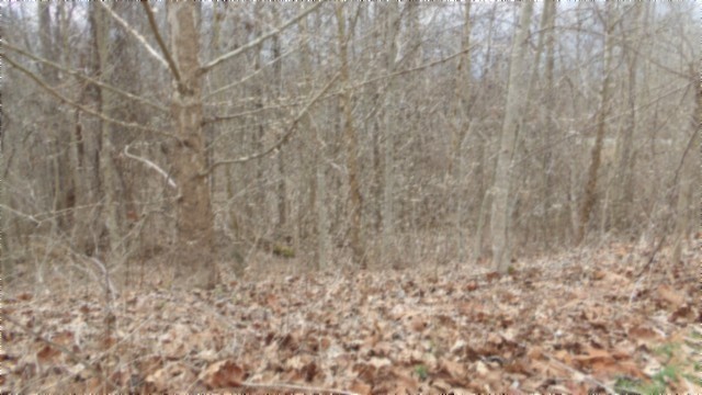 0 Beaver Lane Property Photo 10