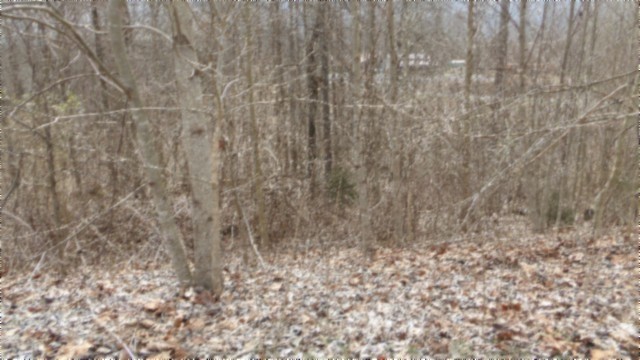 0 Beaver Lane Property Photo 11