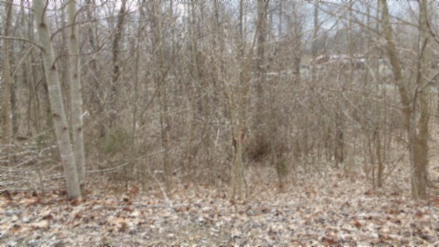 0 Beaver Lane Property Photo 13