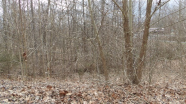 0 Beaver Lane Property Photo 14