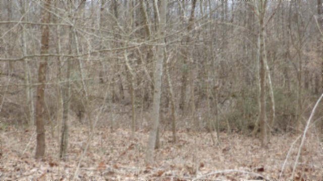 0 Beaver Lane Property Photo 15