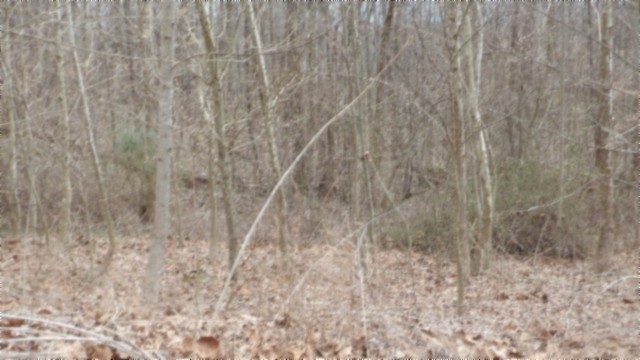0 Beaver Lane Property Photo 16