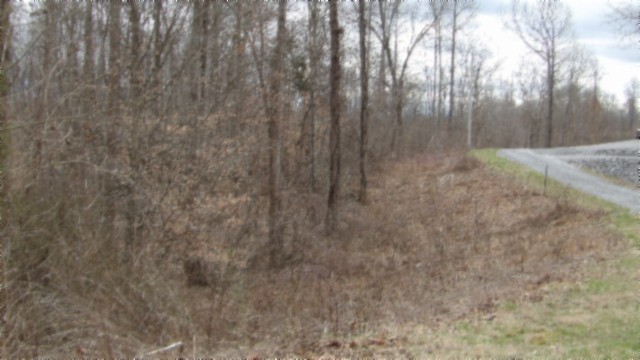 0 Beaver Lane Property Photo 17