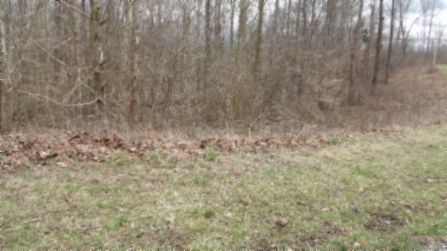 0 Beaver Lane Property Photo 18