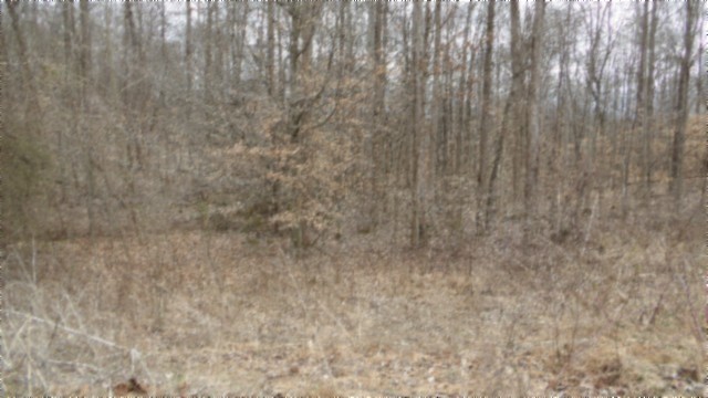 0 Beaver Lane Property Photo 19
