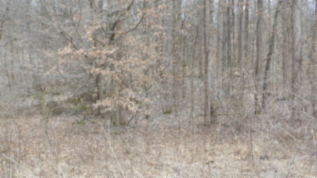 0 Beaver Lane Property Photo 20
