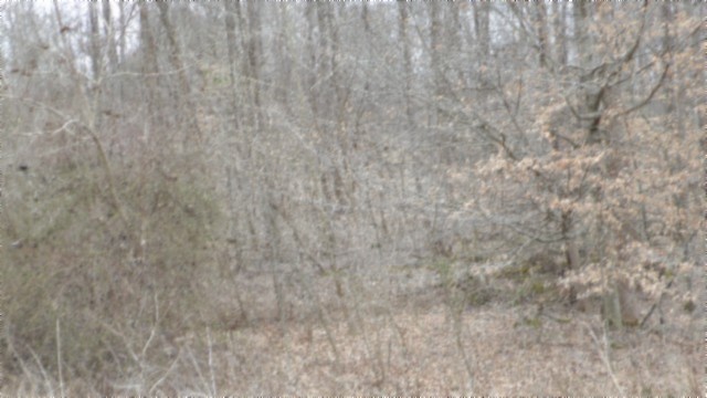 0 Beaver Lane Property Photo 21