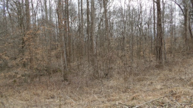 0 Beaver Lane Property Photo 22