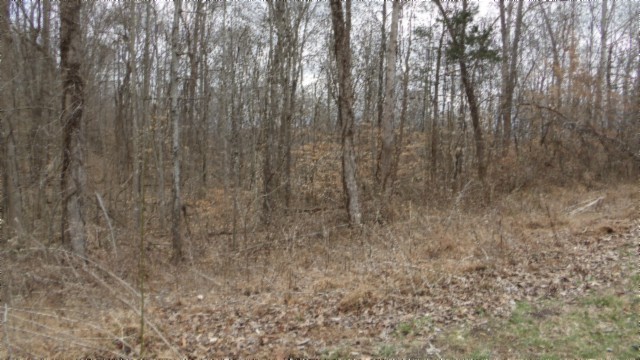 0 Beaver Lane Property Photo 23