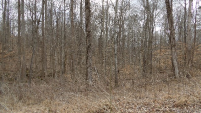 0 Beaver Lane Property Photo 24