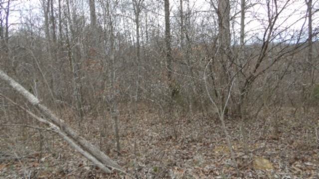 0 Beaver Lane Property Photo 29