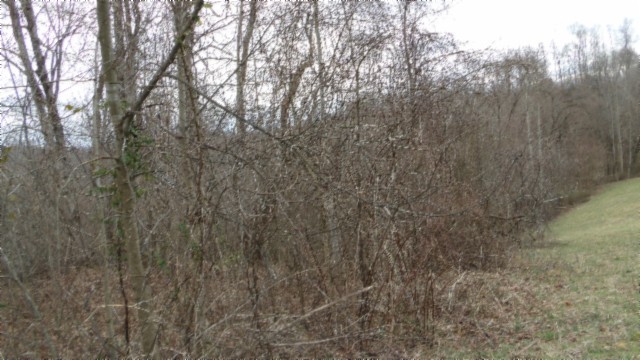 0 Beaver Lane Property Photo 30