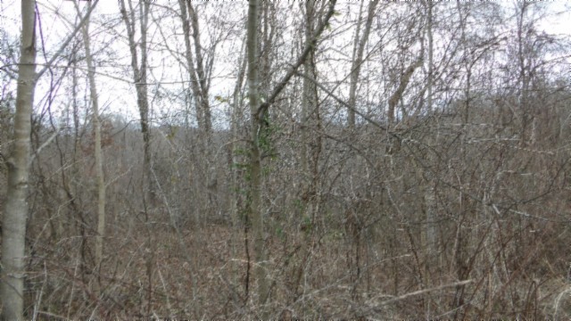 0 Beaver Lane Property Photo 31