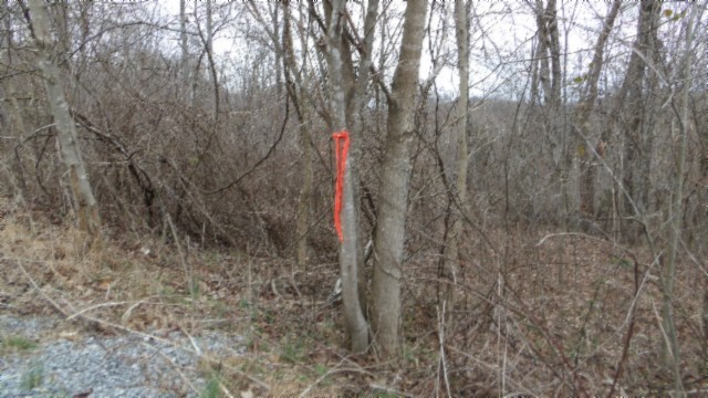 0 Beaver Lane Property Photo 33