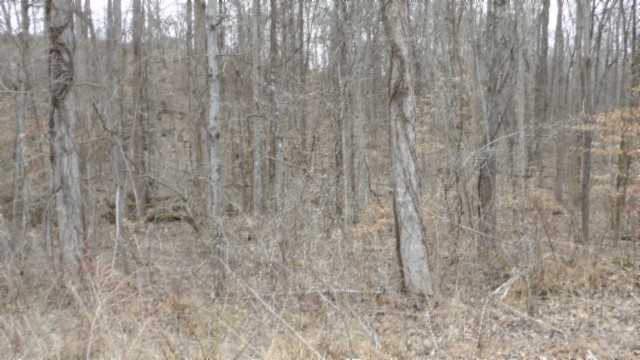 0 Beaver Lane Property Photo 34