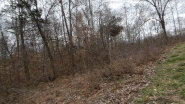 0 Beaver Lane Property Photo 35