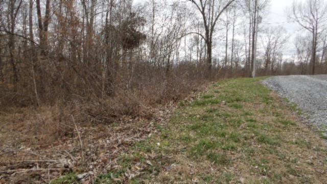 0 Beaver Lane Property Photo 36