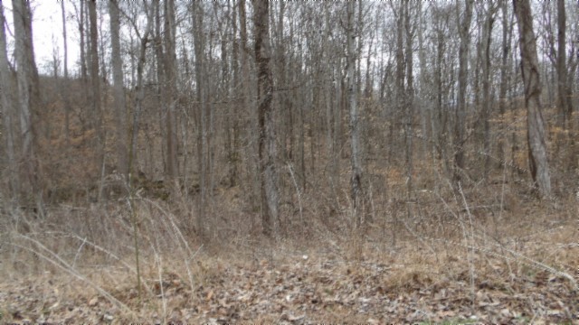 0 Beaver Lane Property Photo 37