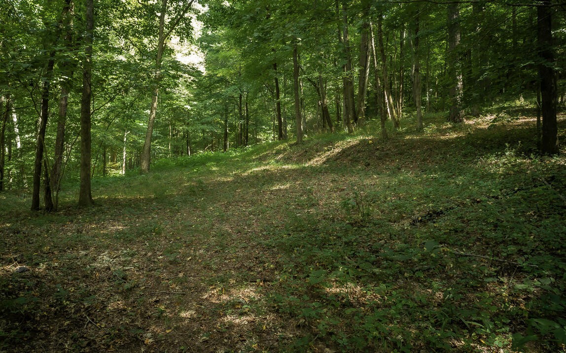1754 Oakbrook Trail Property Photo 2