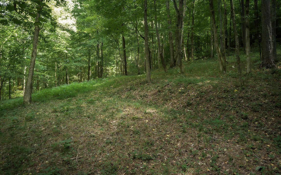 1754 Oakbrook Trail Property Photo 11