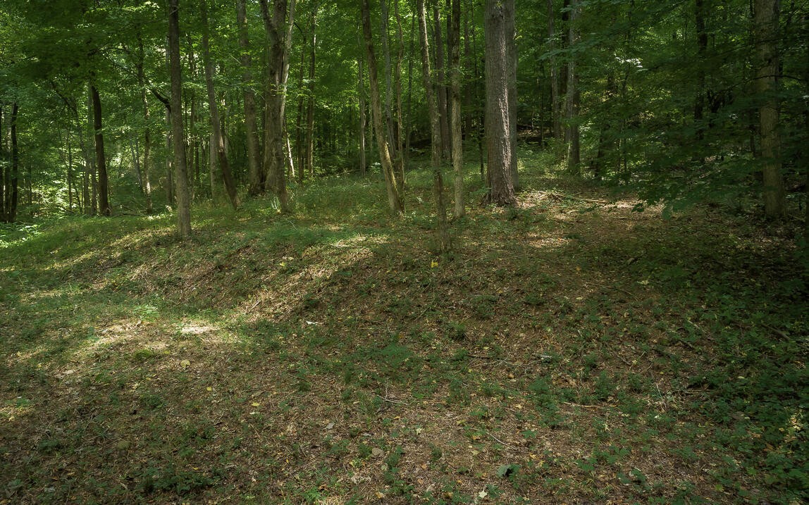 1754 Oakbrook Trail Property Photo 12