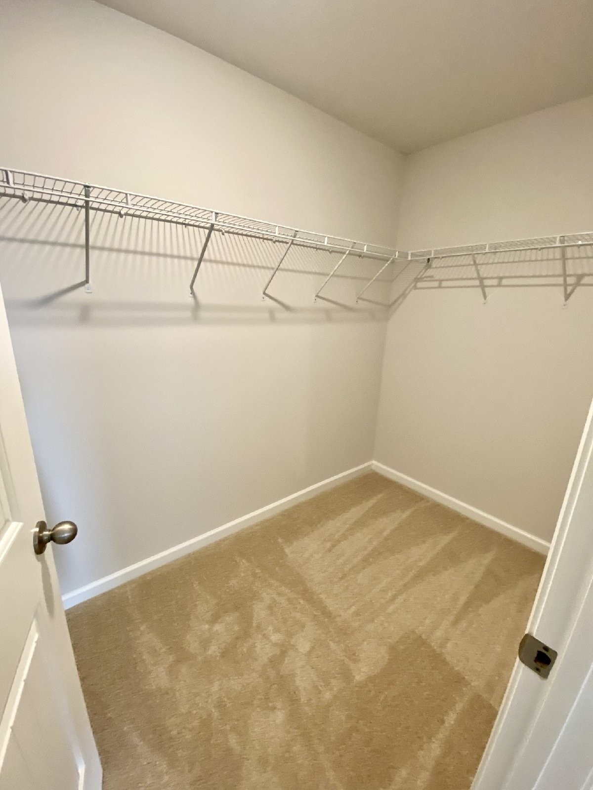 7241 Scotlyn Way Property Photo 14
