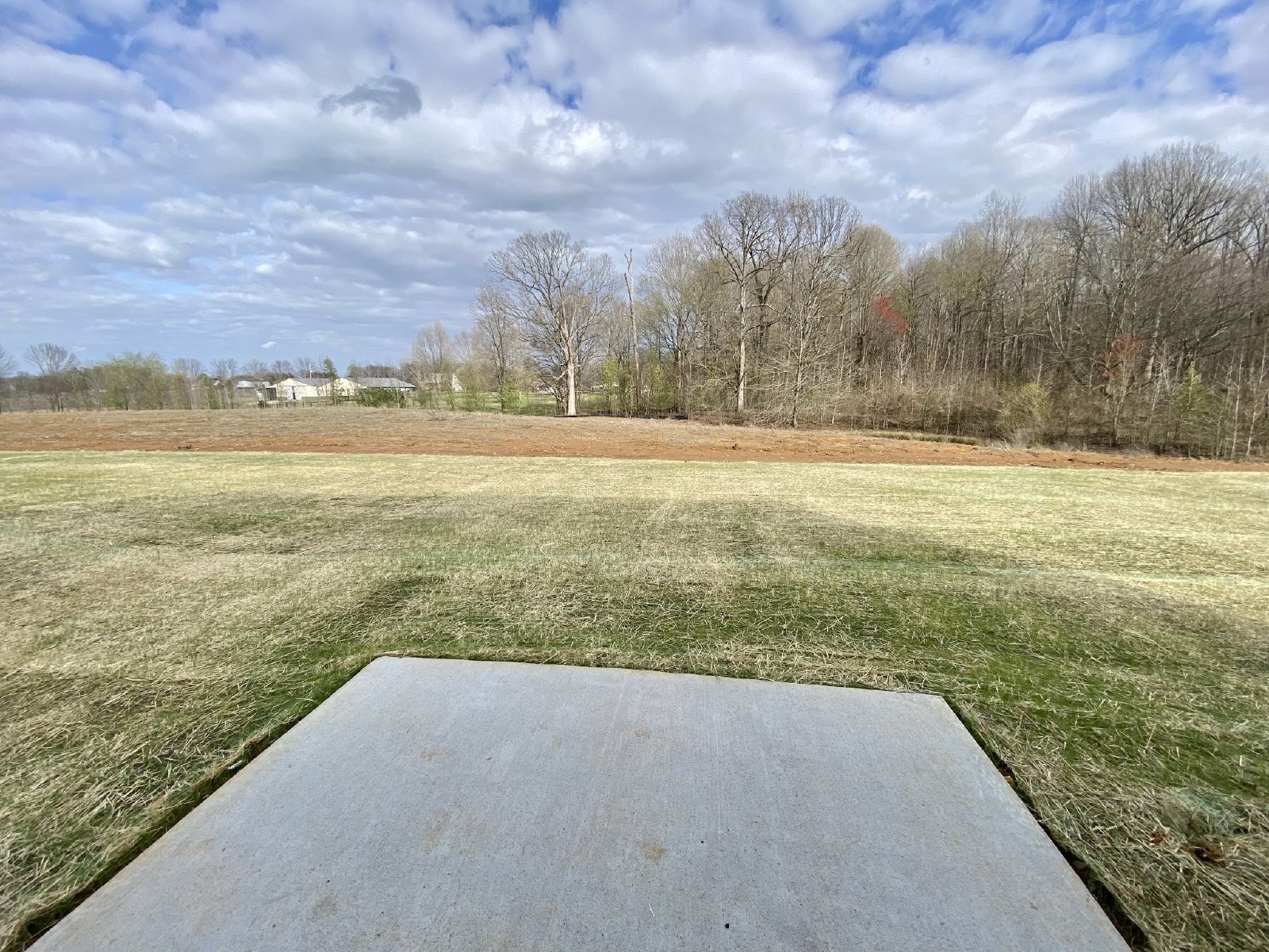 7241 Scotlyn Way Property Photo 22