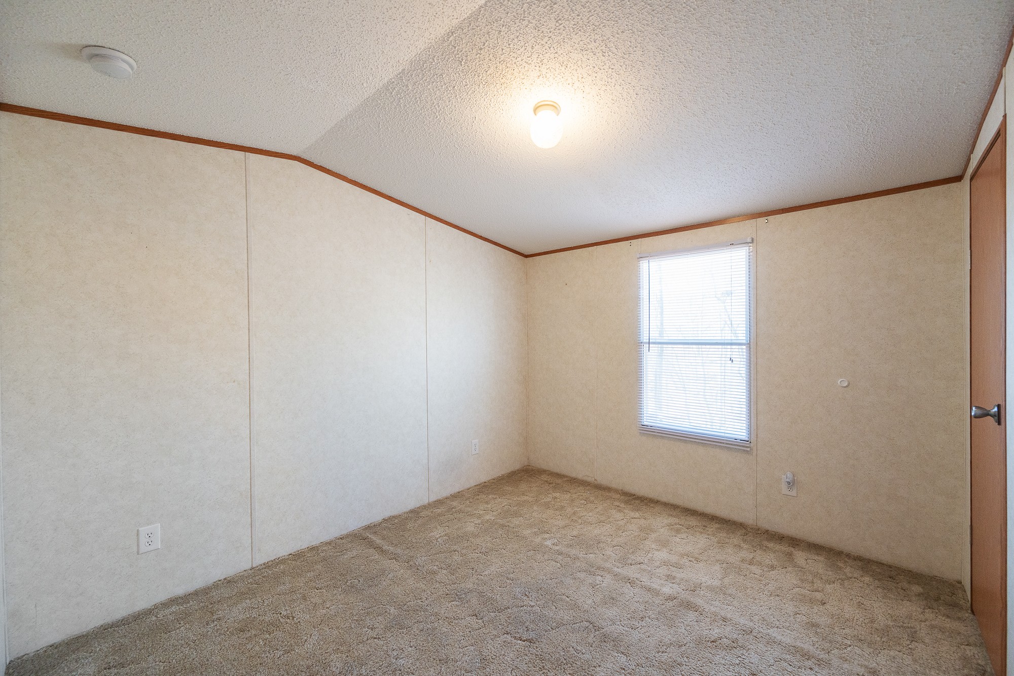 246 Brown Bluff Ln Property Photo 19