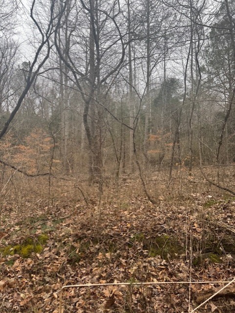 0 W O Lick Creek Rd Property Photo