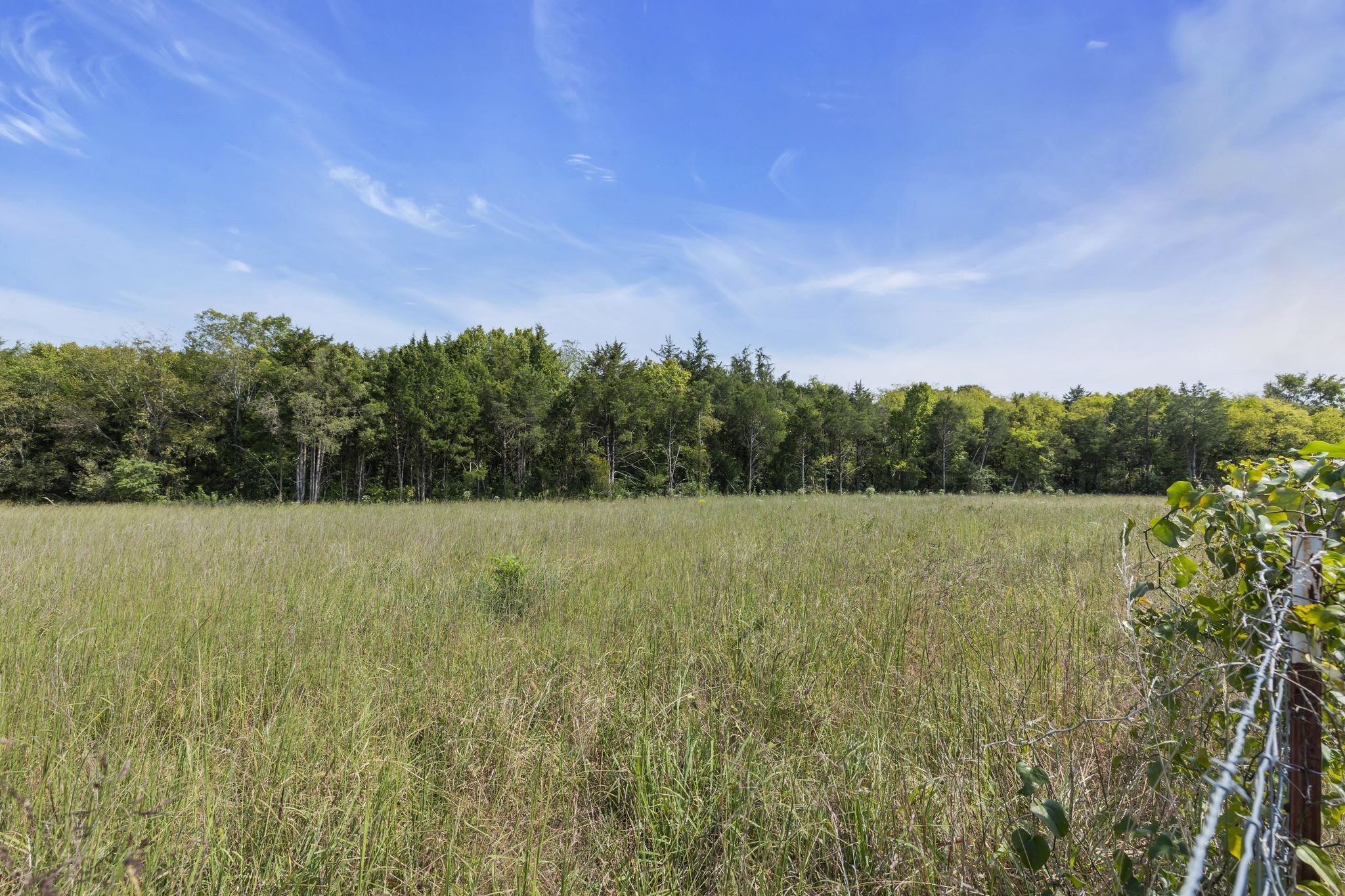 0 Chapel Hill Pike Property Photo