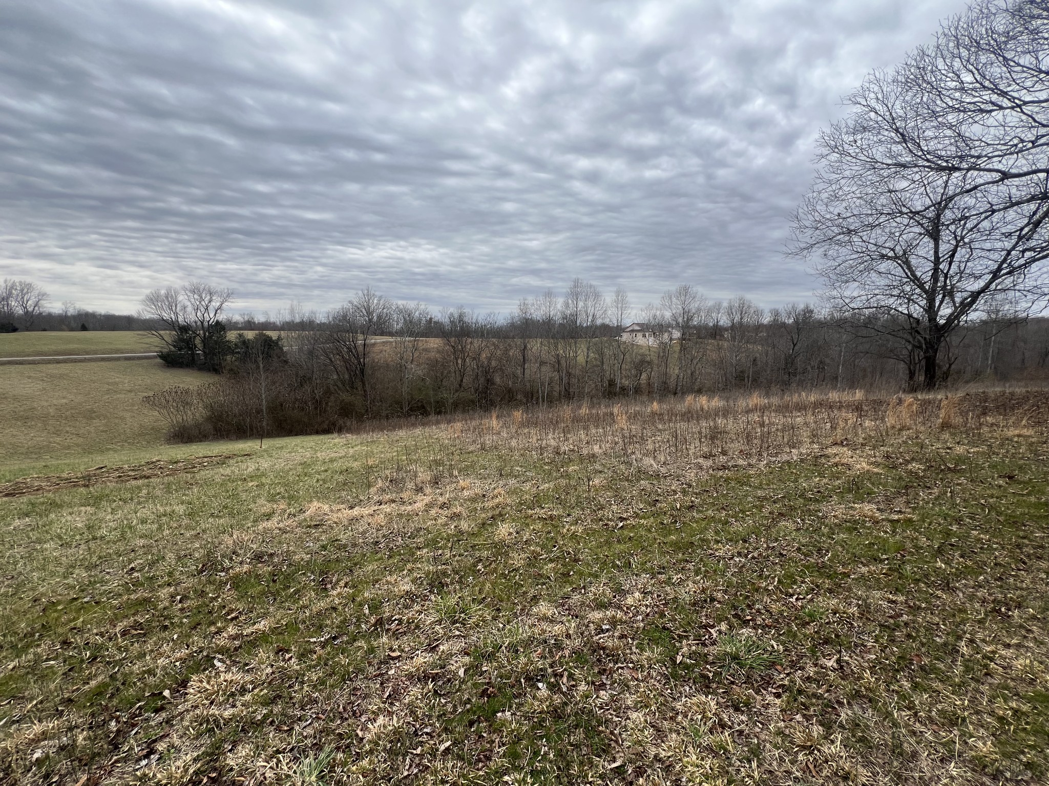 9155 Fox Hill Rd Property Photo 4
