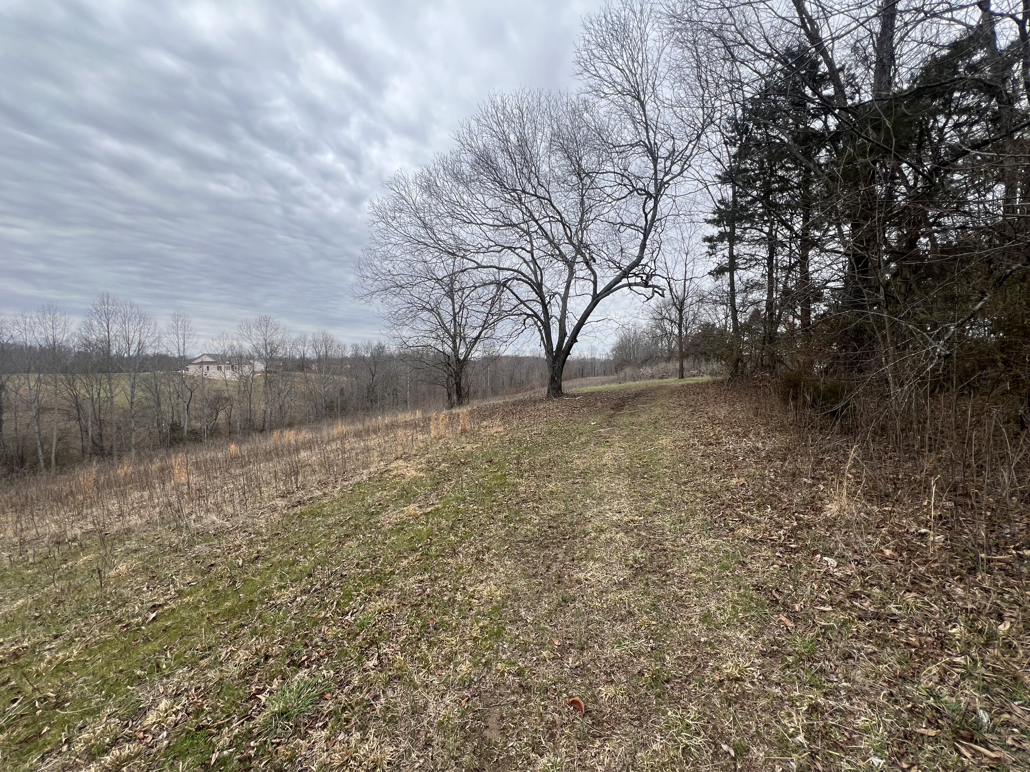 9155 Fox Hill Rd Property Photo 5