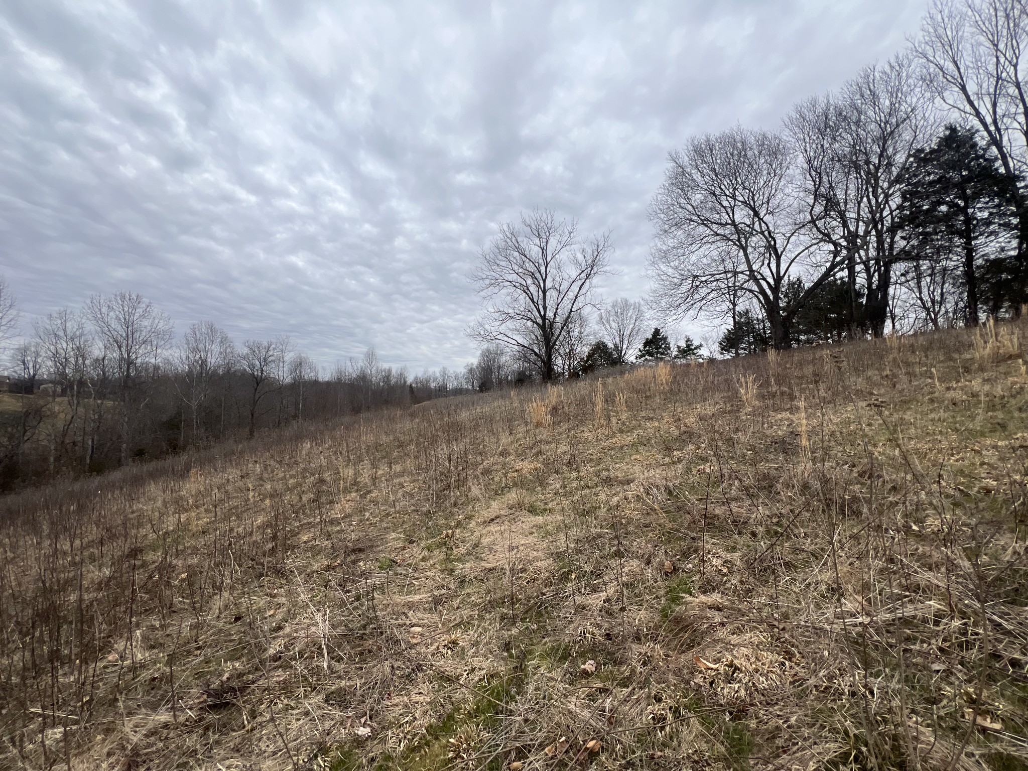 9155 Fox Hill Rd Property Photo 7