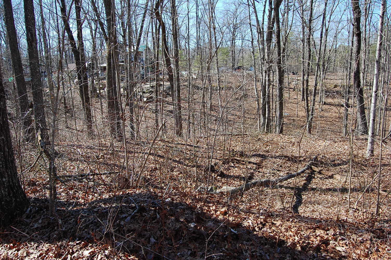 2 Ski View Drive Property Photo 4